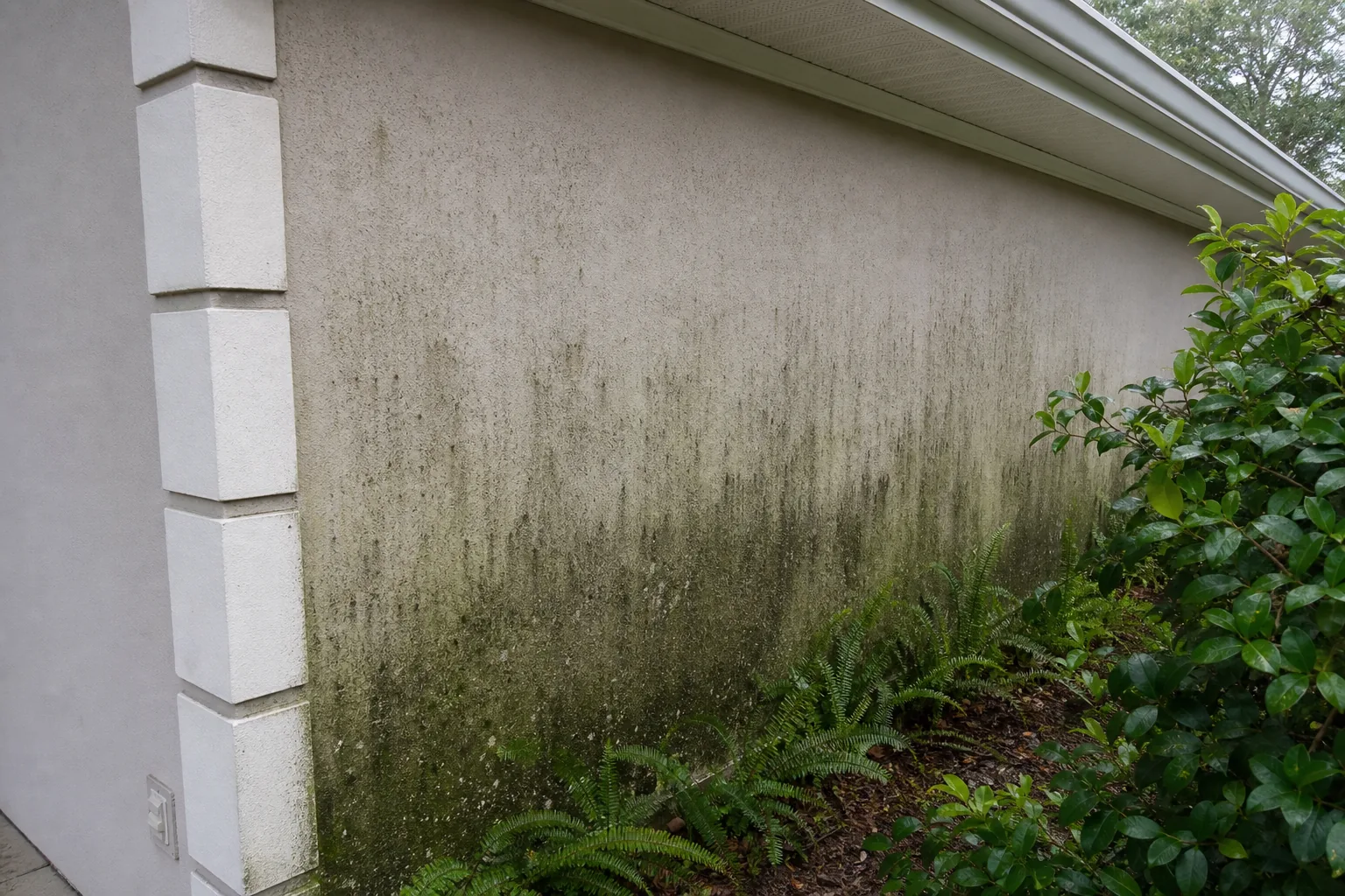Before house washing in a shaded Jacksonville neighborhood